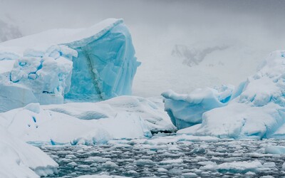 Vědci na Antarktidě objevili 13 nových virů. Mohly by způsobit katastrofu