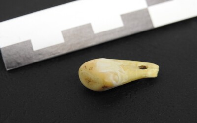 Vědci našli DNA pravěké ženy na 20 tisíc let starém šperku