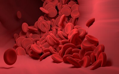 Vědci poprvé podali transfuzi krve, jež byla vypěstována v laboratoři