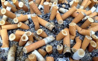 Vedci tvrdia, že cigarety s filtrami by sa mali úplne zakázať. Fajčiarom nepomáhajú a ničia životné prostredie