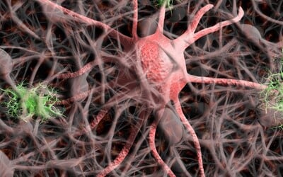 Vědci vyvinuli krevní test na Alzheimerovu chorobu