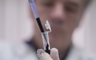 Vedci vyvinuli „protilátky proti kokaínu“. Nová vakcína by mohla pomôcť ľuďom zbaviť sa závislosti