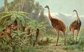 Vědci vzkřísí další historické zvíře. Nedávno oživili zlovlky známé ze seriálu Hra o trůny
