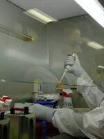 Vedcom v Austrálii sa podarilo identifikovať, ako ľudská imunita bojuje s koronavírusom