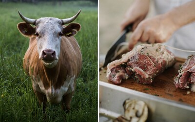 Vegáni sa môžu radovať. Celosvetová spotreba mäsa začína klesať