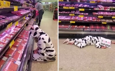 Veganská aktivistka v kostýmu krávy přišla oplakávat maso v supermarketu. Byli jste oklamáni, prohlašovala