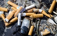 Viac ako 25 % odpadu v slovenských uliciach tvoria cigaretové ohorky. Tieto obaly ich však doháňajú