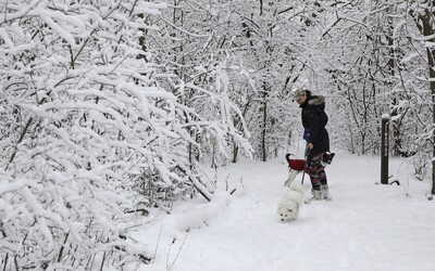 Vianoce sú tu: Priprav sa na prvé sneženie na Slovensku už tento víkend 