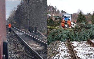 Vichřice si v Česku vyžádala první oběť. Vlaky mezi Brnem a Bratislavou nejezdí