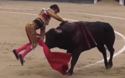 Video: Matador provokuje býka, rozhnevané zviera ho dvakrát bodne do slabín. Rany majú hĺbku až 30 centimetrov