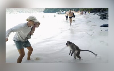 Video: Muž si to rozdal s opicí v pěstním souboji. Na jeho syna útočila celá tlupa divokých makaků