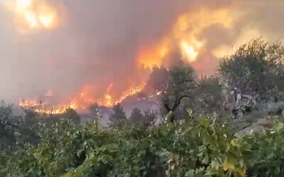 Video: Ostrov La Palma zachvátil lesní požár, hasiči evakuovali tisíce lidí, hoří i na Tenerife
