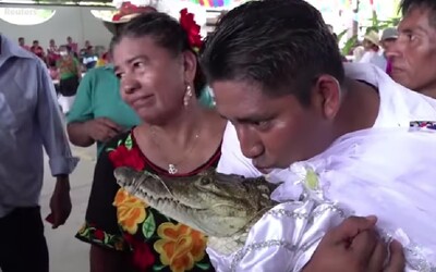 Video: Starosta mexického města se oženil s krokodýlí princeznou