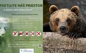 Vieš, ako sa môžeš vyhnúť stretu s medveďom? Štátna ochrana prírody zverejnila jednoduchú príručku