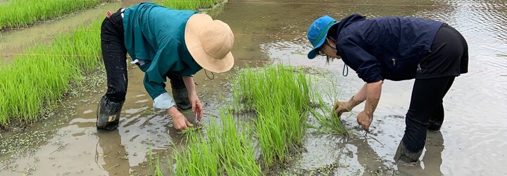 Viktória žila v Japonsku: Šéf mi zakázal robiť počas obeda či nadčasy. Keď mladí zdedia dom, je im často na príťaž
