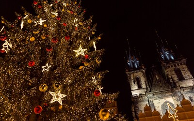 Víme, kdy se v Praze rozsvítí vánoční strom. Postupně ozdobí celé město