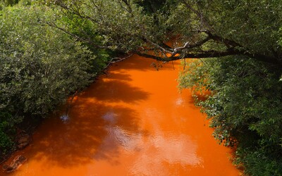 Vláda vyhlásila na rieke Slaná mimoriadnu situáciu. Na ekologickú haváriu tak zareagovala po 5 mesiacoch