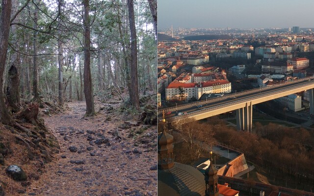 Vyhľadávané samovražedné miesta. Prečo vznikajú a ako môžu pomôcť samovražedné zábrany?