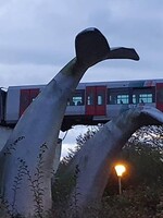 Vykolejené metro v Rotterdamu zachránil velrybí ocas. Udržel jej 10 metrů nad zemí