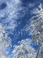 Výkyvy počasí v Česku budou častější, varuje meteorolog. Budou letošní Vánoce na sněhu?