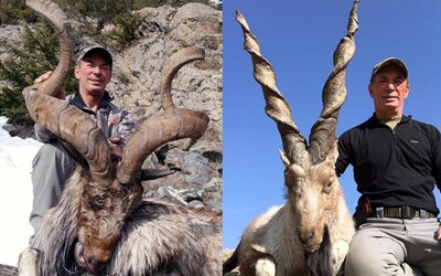 Vysmiaty lovec zabil už štvrtú mimoriadne vzácnu kozu. Na svojich trofejách za viac než 100-tisíc dolárov sa baví