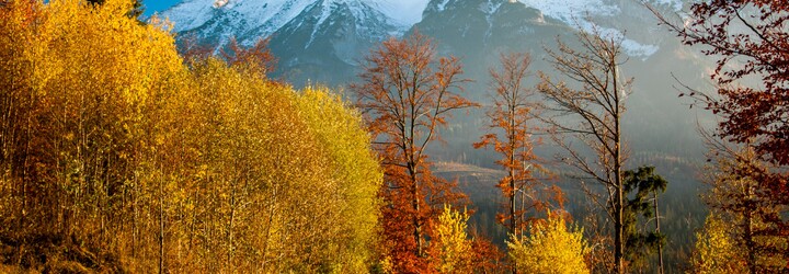 Vysoké Tatry si teraz užiješ lacnejšie. S touto kartou cestuješ neobmedzene a máš 25 % zľavu do reštaurácií či na zážitky