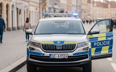 Za dvojnásobnou vraždu dvou prodavaček v Hradci dostal mladík devítiletý trest vězení