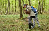 Začína hubárska sezóna na Slovensku: Hubár radí, kedy vyraziť do lesa a čo si nezabudnúť pribaliť