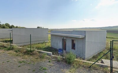 Velryba Timmy je naživu, data z GPS potvrzují signál. Záchranáři se přou o způsob vypuštění — image 6