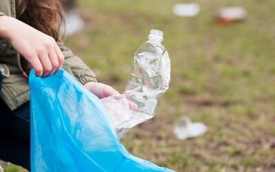 Zálohování PET lahví se blíží. Koukni, kam budeme obaly vracet a o kolik nápoje zdraží