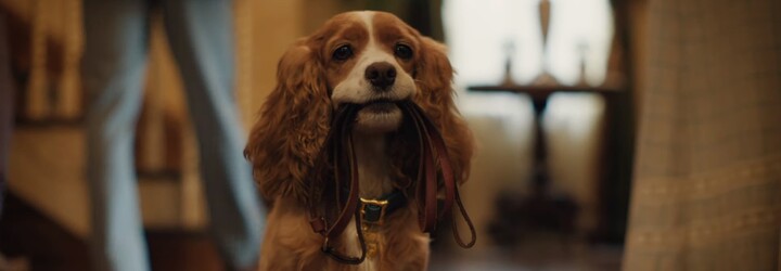 Zamilovaní psi Lady a Tramp se ukázali v prvním traileru. V hraném filmu nebude chybět ani ikonická špagetová scéna