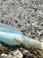 Zamilovaný odkaz vo fľaši preplával Atlantik: Z Kanady do Írska mu to trvalo 13 rokov