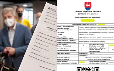 Zaočkovaní už môžu požiadať o certifikát na cestovanie, takto vyzerá. Netrvalo dlho a Slováci už hlásia problémy