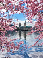 Zaži Sevillský festival alebo navštív obrovské tulipánové záhrady. 5 destinácií, kam musíš vycestovať túto jar