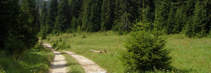 Zaži wellness zadarmo či najväčší labyrint v strednej Európe. 8 tipov na výlet na Slovensku, ktoré si užiješ, keď máš mini-budget