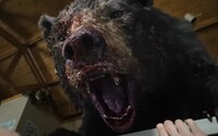 Zdrogovaný medveď zabíja ľudí v bláznivej komédii Cocaine Bear. Trailer v tebe obnoví dôveru v kinematografiu