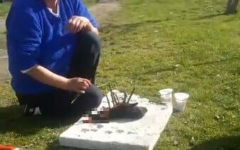 Žena na východe Slovenska počas rituálu čiernej mágie brutálne usmrtila šteňa. Zaživa ho rozrezala na livestreame