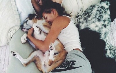 Ženám se spí lépe se psy než s muži, zjistili výzkumníci ve studii