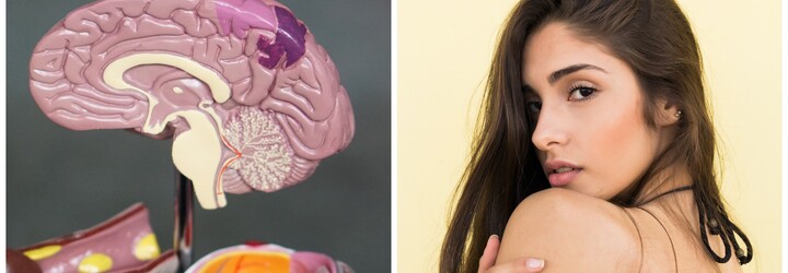 Ženy, které mají více sexu, mají lépe vyvinutý mozek, tvrdí nová studie 
