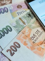 Život k nezaplacení: 12 % českých domácností musí vyžít se 100 korunami na člověka na den