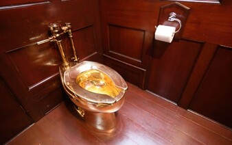 Zlodeji ukradli zlatý záchod za viac ako tri milióny eur, trvalo im to 5 minút. Súd po rokoch rozhodol o treste