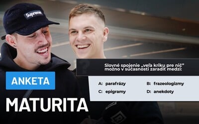 Zmaturovali by Slováci zo slovenského jazyka? (ANKETA)