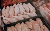 Zo slovenských obchodov sťahujú kuracie mäso. Obsahovalo vysoké množstvo antibiotík