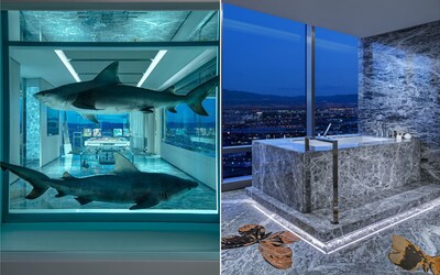 Žraloci a koupání s výhledem na Las Vegas. Nejdražší hotelový pokoj na světě stojí 2 miliony korun na noc