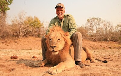 Zvrátený lovec trofejí sa vytešoval, keď zastrelil bezbranného spiaceho leva. Takýmto tempom vyhynú za 30 rokov