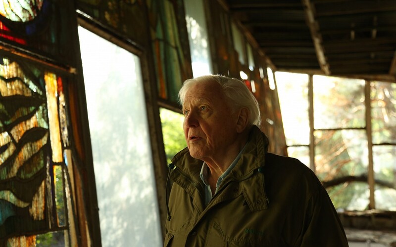 David Attenborough (A Life on Our Planet)