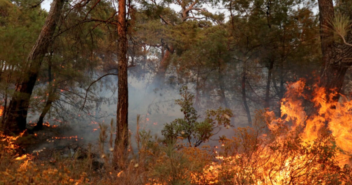 ČHMÚ: Výstraha rozšířena. V těchto krajích hrozí nebezpečí požárů