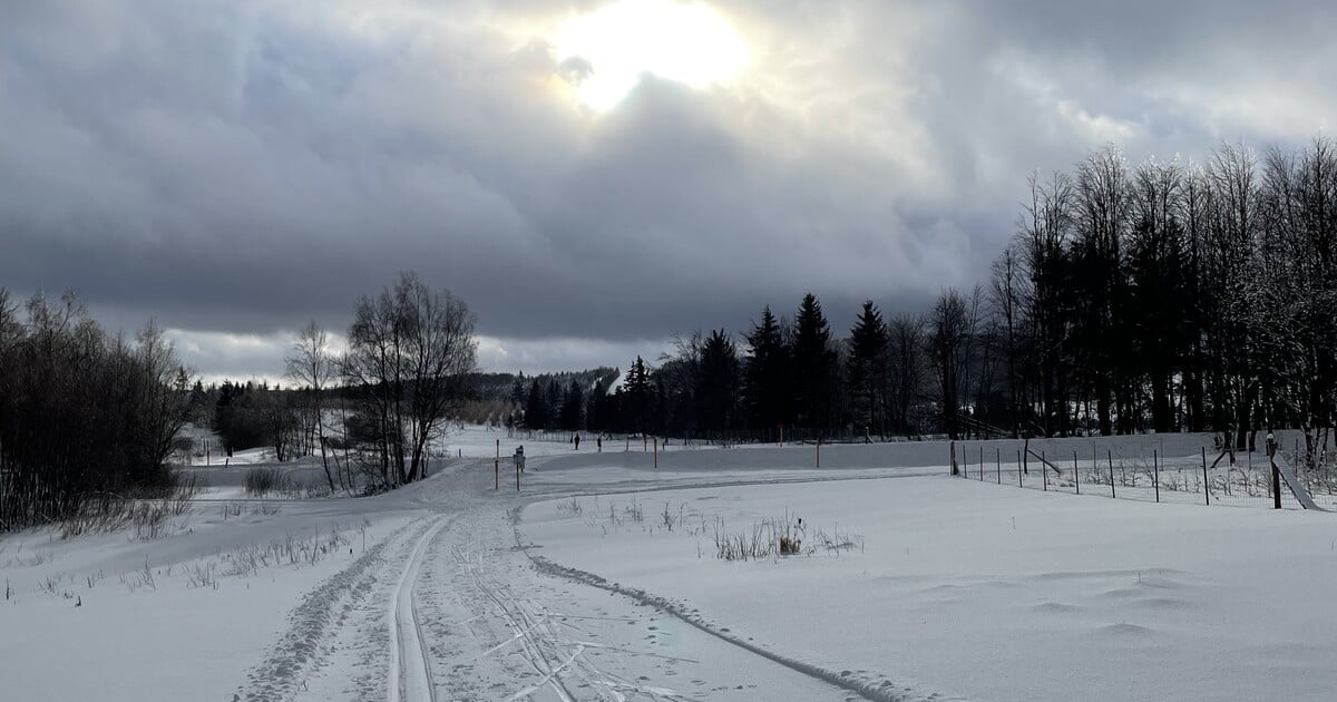 POČASÍ: Meteorologové vydali výstrahu před náledím. Kdy do Česka vtrhne sníh?