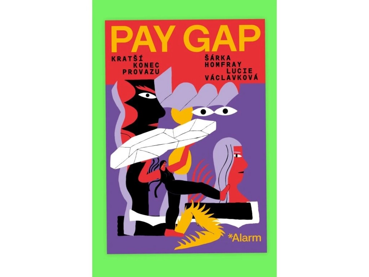 pay gap kniha homfray