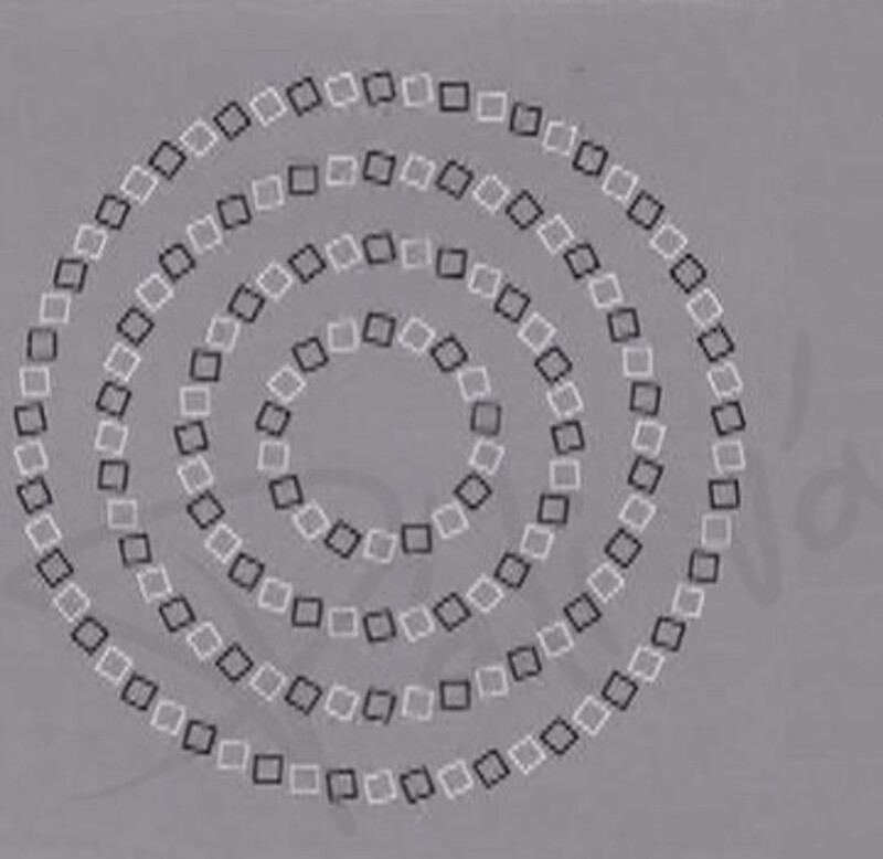 Koľko kruhov vidíš na obrázku?